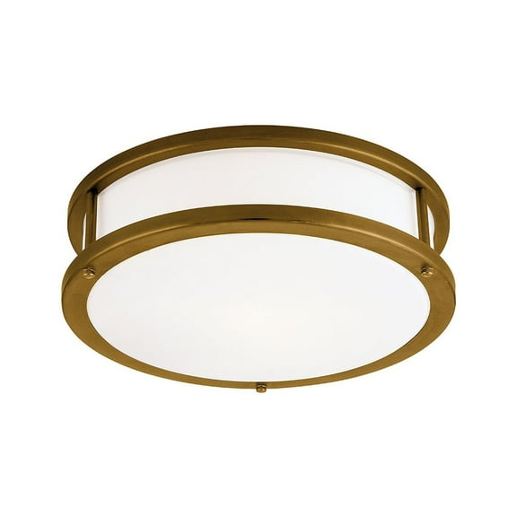 Access Lighting LED Flush Mount in Bronze Color