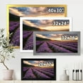 thumbnail image 4 of Designart 'Dramatic Clouds and Sunrise Over Lavender Field VI' Farmhouse Framed Art Print, 4 of 4