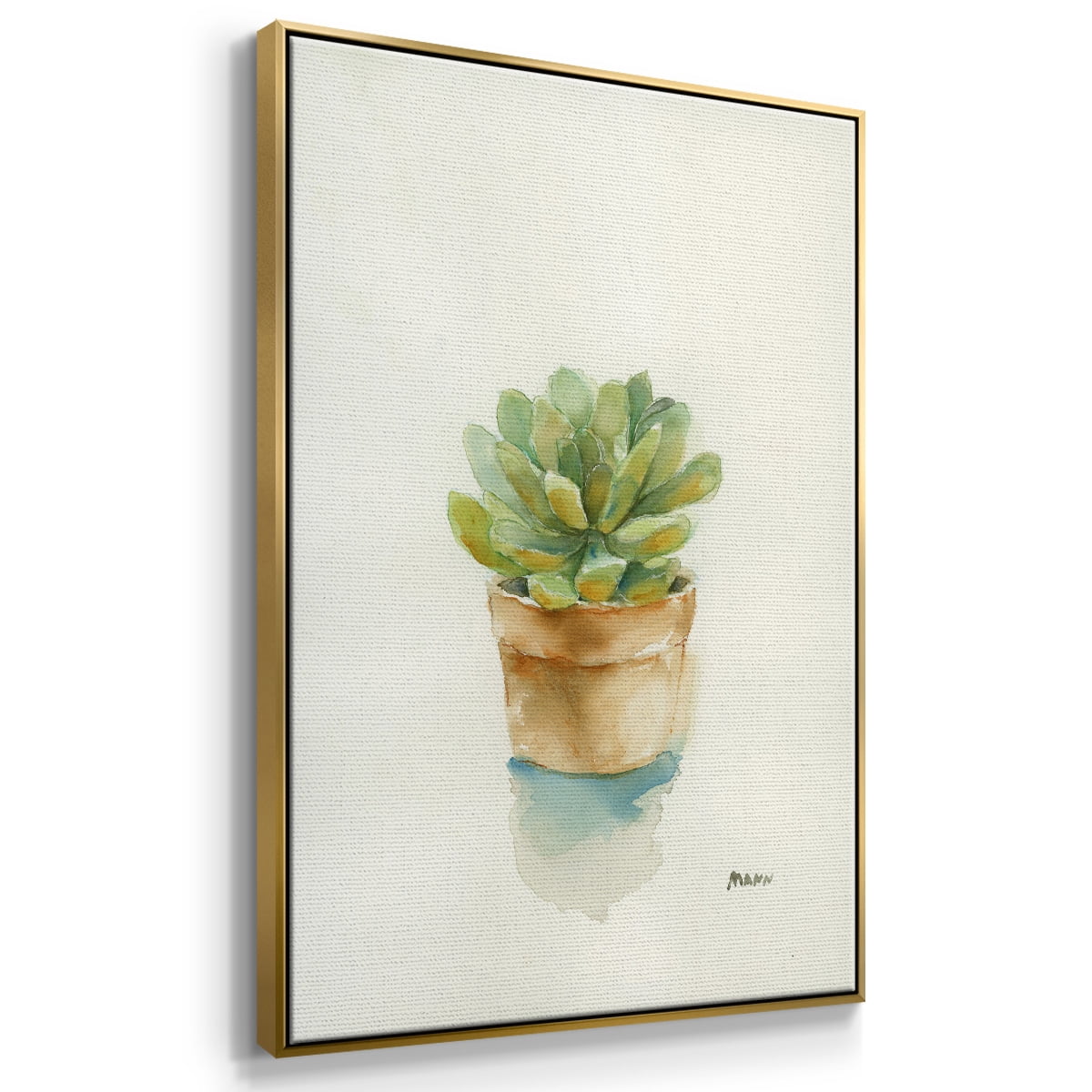 Succulent II Framed Premium Gallery Wrapped Canvas - Ready to Hang - 25 x 37 - Gold Floating Frame