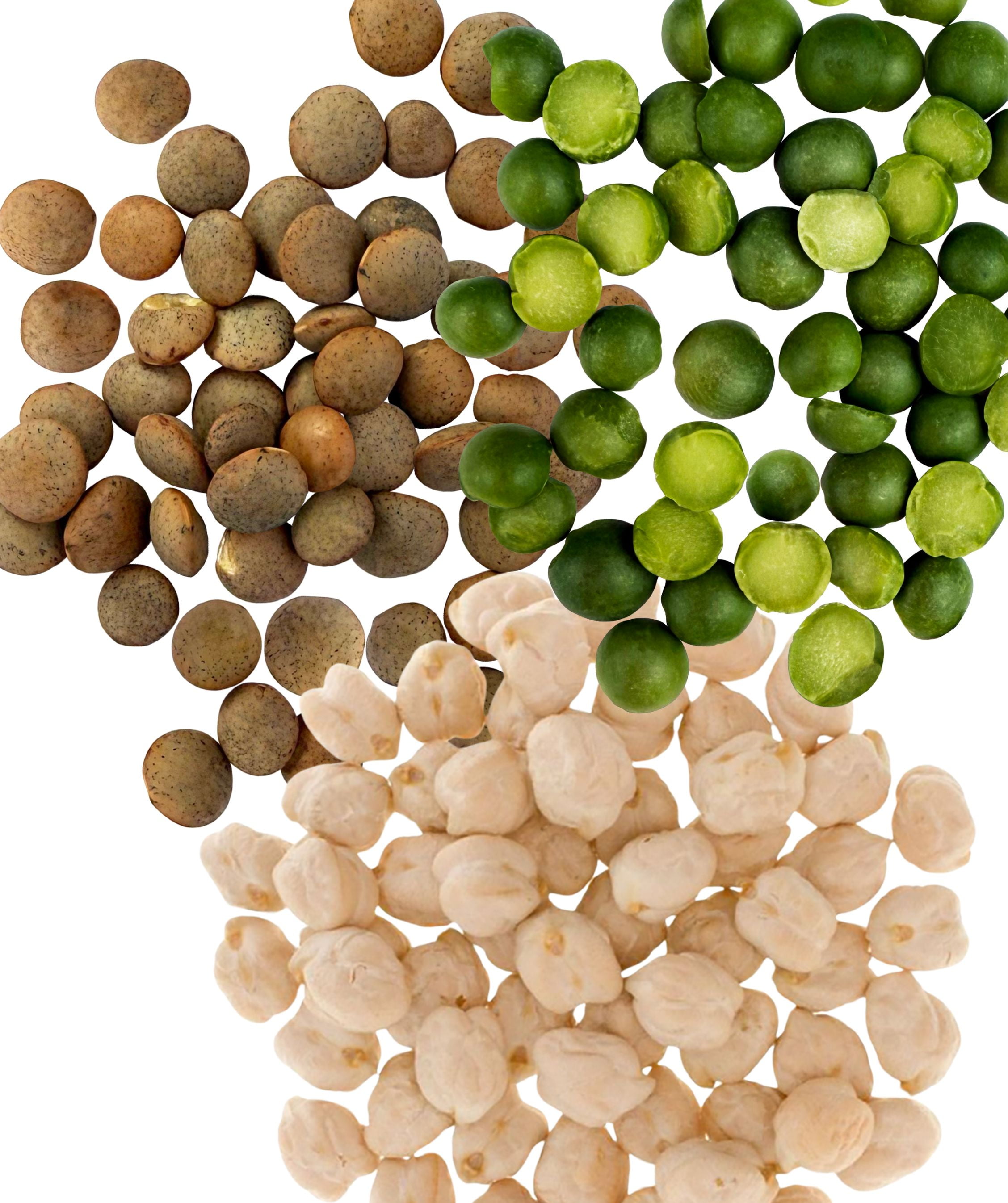Emergency Legume Bucket Supply | Certified Glyphosate Residue Free | 75 LBS | Chickpeas, Lentils and Green Split Peas [25 lbs each]