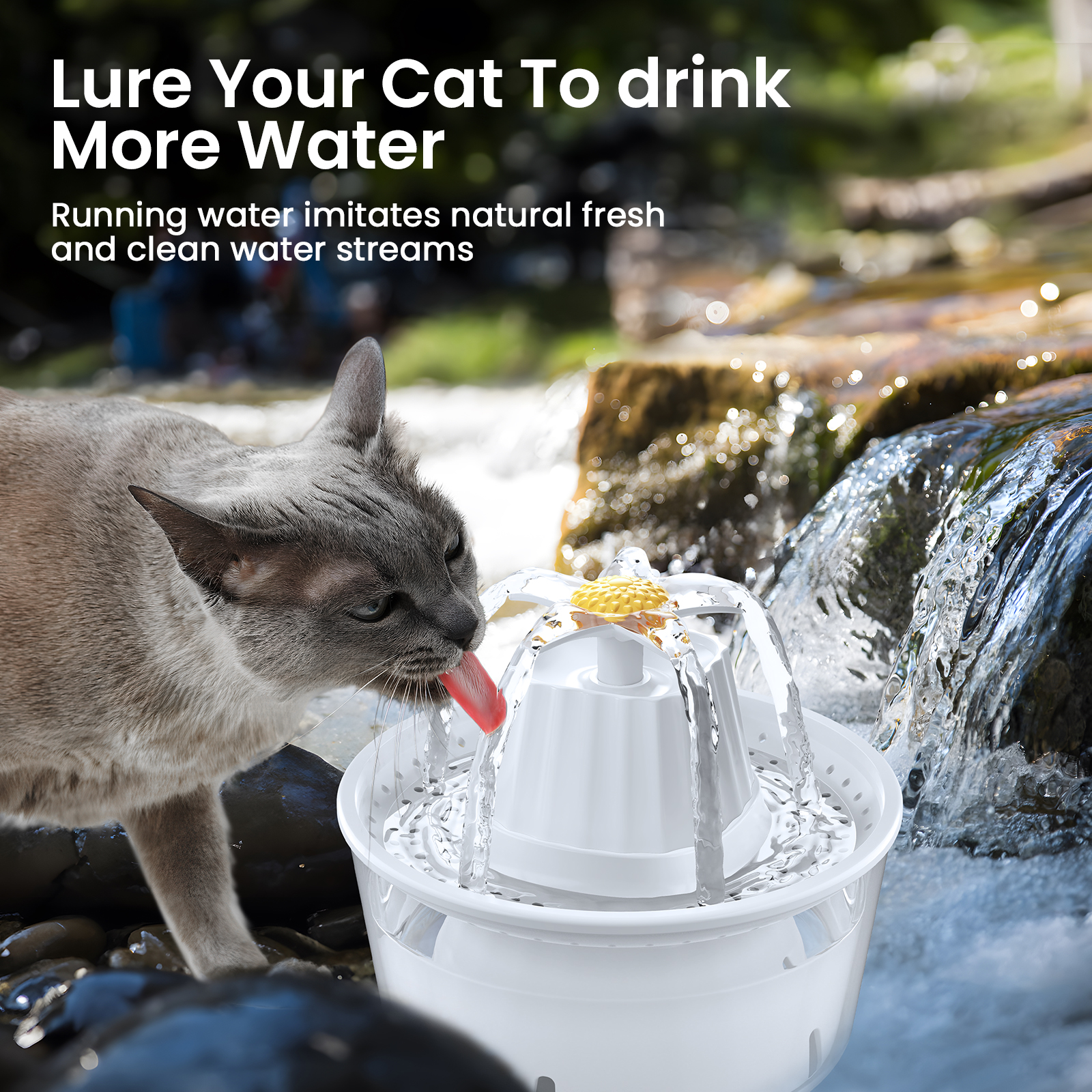 MASBRILL Pet Fountain Automatic Water Dispenser photo 8