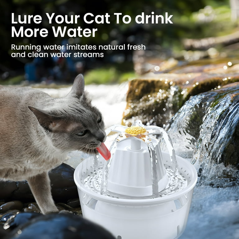 Best Cat Cat Pet Water Fountain Best Cat Drinking Fountain Flowing - Main Image