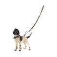 thumbnail image 3 of Dog Collar and Leash Set, Nylon Collar and Leash for Dogs Classic Solid Colors f, 3 of 5