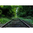 thumbnail image 2 of ABPHOTO Polyester 7x5ft Photography Backdrop Old Railroad Track Through Forest Photo Background Backdrops for Photography Photo Shoots Party Newborn Kids Baby Personal Portrait Photo Studio Props, 2 of 4