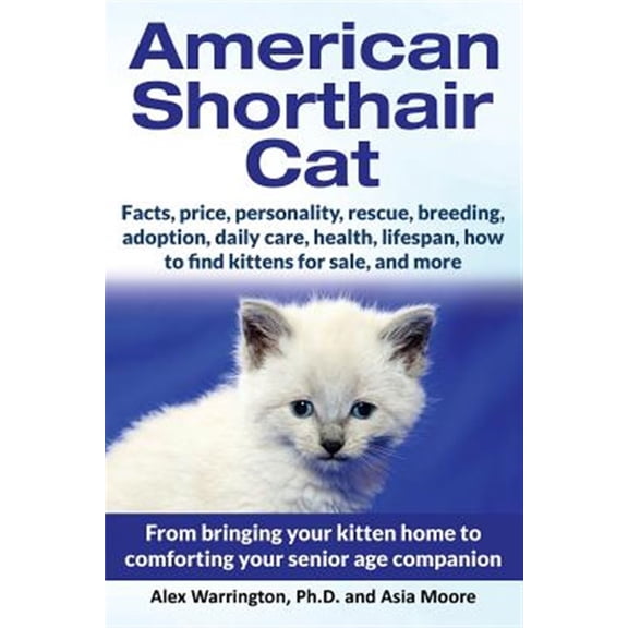 Pre-Owned American Shorthair Cat: From bringing your kitten home to comforting your senior age companion