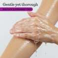 thumbnail image 5 of True Lily & Wood Sage Body Wash, Sulfate-Free, Moisturizing and Hydrating Formula for Women & Men, 18 fl oz, 5 of 11