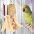 thumbnail image 1 of Bird Biting Toys, Interesting  Biting Toys  for Outdoors for Home, 1 of 8