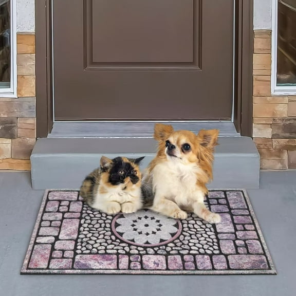 Heeneeso Outdoor Rug Checkered Door Mat, Machine Washable Doormat Indoor Absorbent