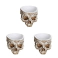 thumbnail image 1 of Billuyoard Macetas para suculentas con calavera, macetas artísticas y duraderas, maceta con cabeza de calavera, maceta con calavera M 4 Type1 NO1, 1 of 6