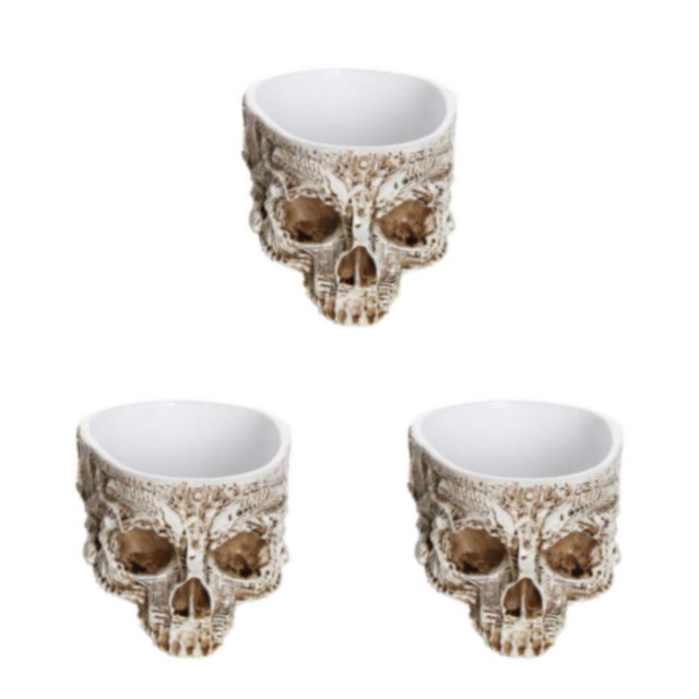 Billuyoard Macetas para suculentas con calavera, macetas artísticas y duraderas, maceta con cabeza de calavera, maceta con calavera M 4 Type1 NO1
