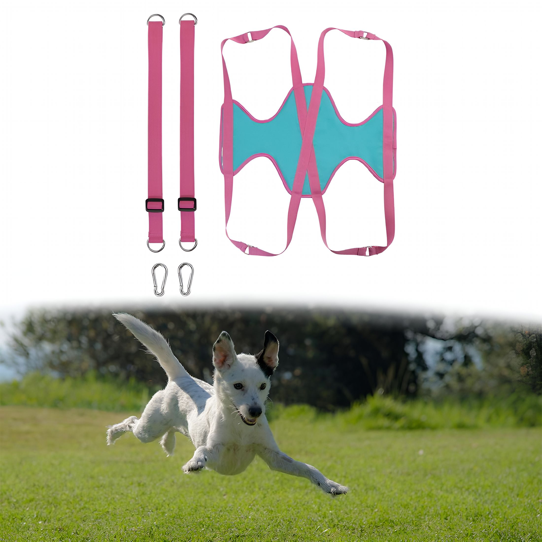 BESTSKY Cat and Dog Hammock Helper Durable Dog Holder Restraint Bag Pet Grooming Hammock Harness for Trimming Washing Bathing Grooming Nail Clipping