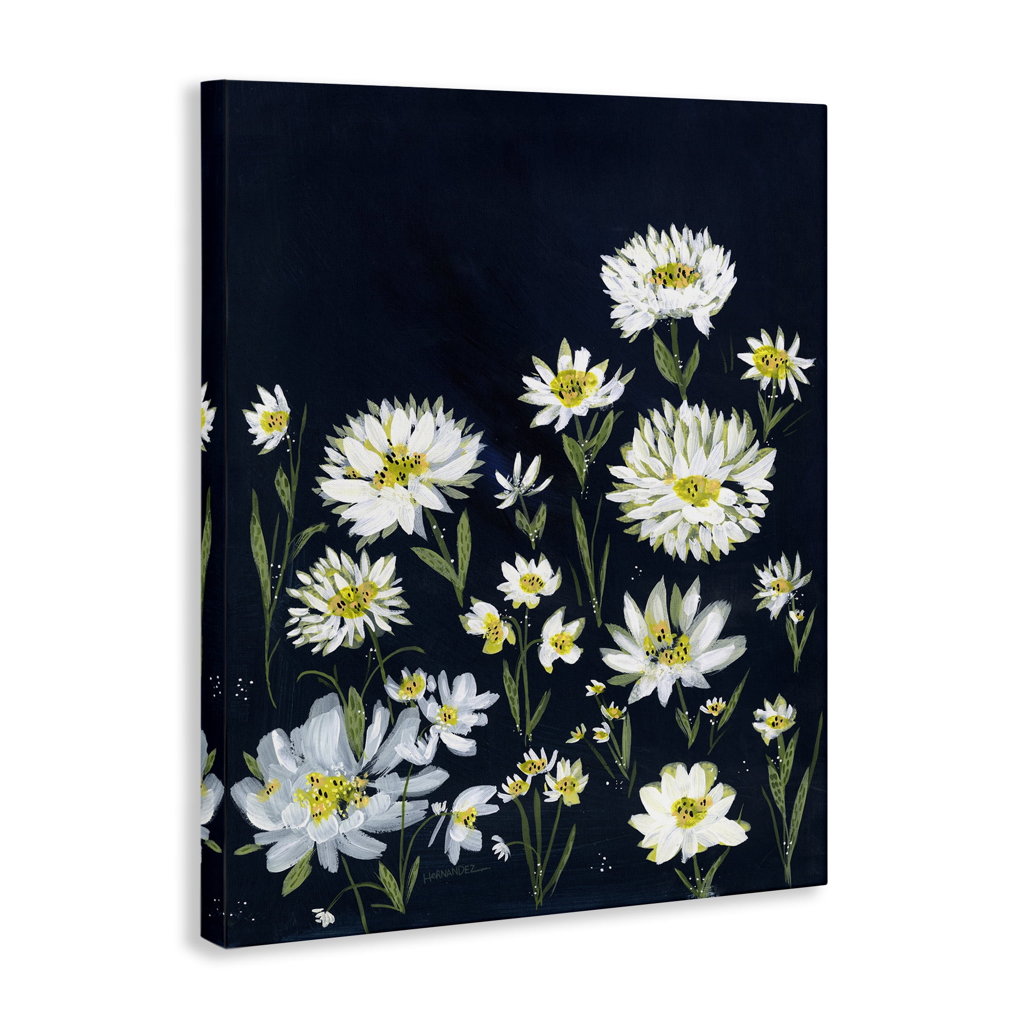 Stupell Industries Deep Meadow on Black Plants & Flowers Painting Wrapped Canvas Art Print Wall Art, 36 x 48