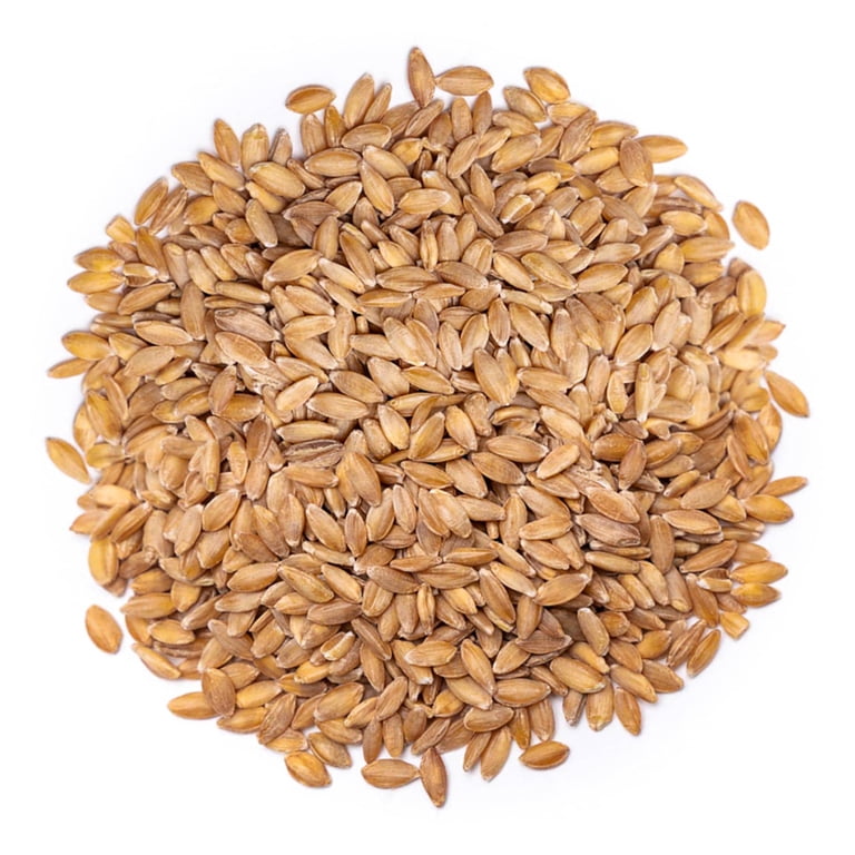 Organic Einkorn Wheat Berries - 10 Lb Bag, Whole Grain, CCOF & USDA Certified