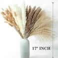 thumbnail image 2 of Xmarks Dried Pampas Grass Bouquet, Natural Dried Flower Bouquet, Boho Home Decor Bouquet, Phragmites Dried Flowers, Dried Flowers Reed Grass for Home Wedding Office Farmhouse Decor, 2 of 6