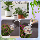 thumbnail image 3 of Globos de riego para plantas - Paquete de 4 Globos de riego automático Globos de riego para plantas de interior Bulbos de riego para plantas de cactus, 3 of 7