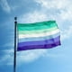 thumbnail image 2 of 3x5 Ft Mlm Vincian Pride Flag Patroclian LGBT Flags Gay Man LGBTQ Banner, 2 of 5