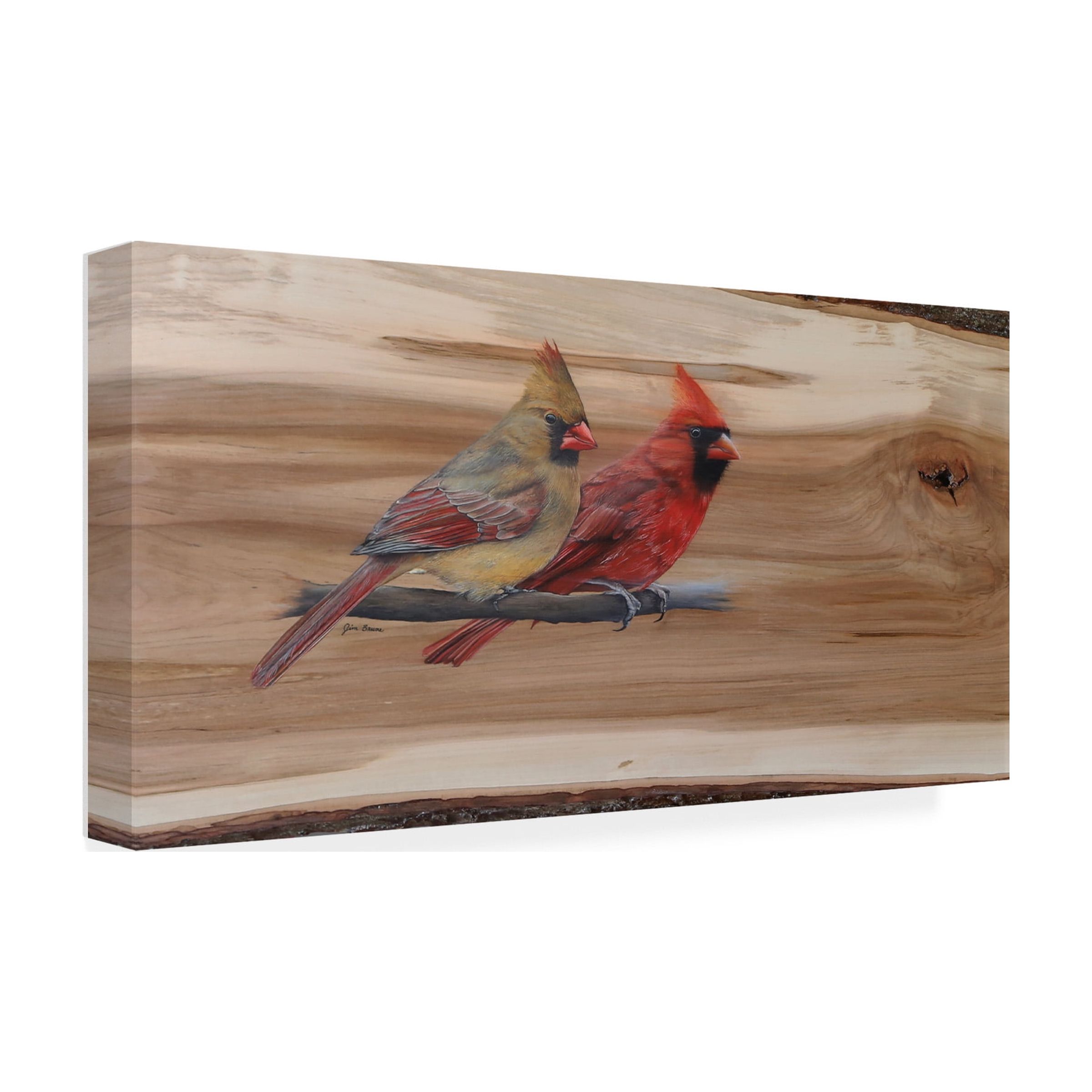 Canvas Wall Art - Jim Brune 'Cardinal Pair For Life' Wall Art for Living Room, Bedroom, or Office DÃ©cor by Trademark Fine Art - 32 x 16 Inches