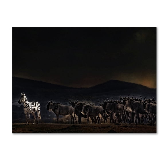 Piet Flour 'An Evening In Kenya' Canvas Art