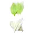 thumbnail image 1 of 100 Hojas de Plantas Naturales para Tarjetas Artesanales, de álbumes de Recortes, Bricolaje, 1 of 9
