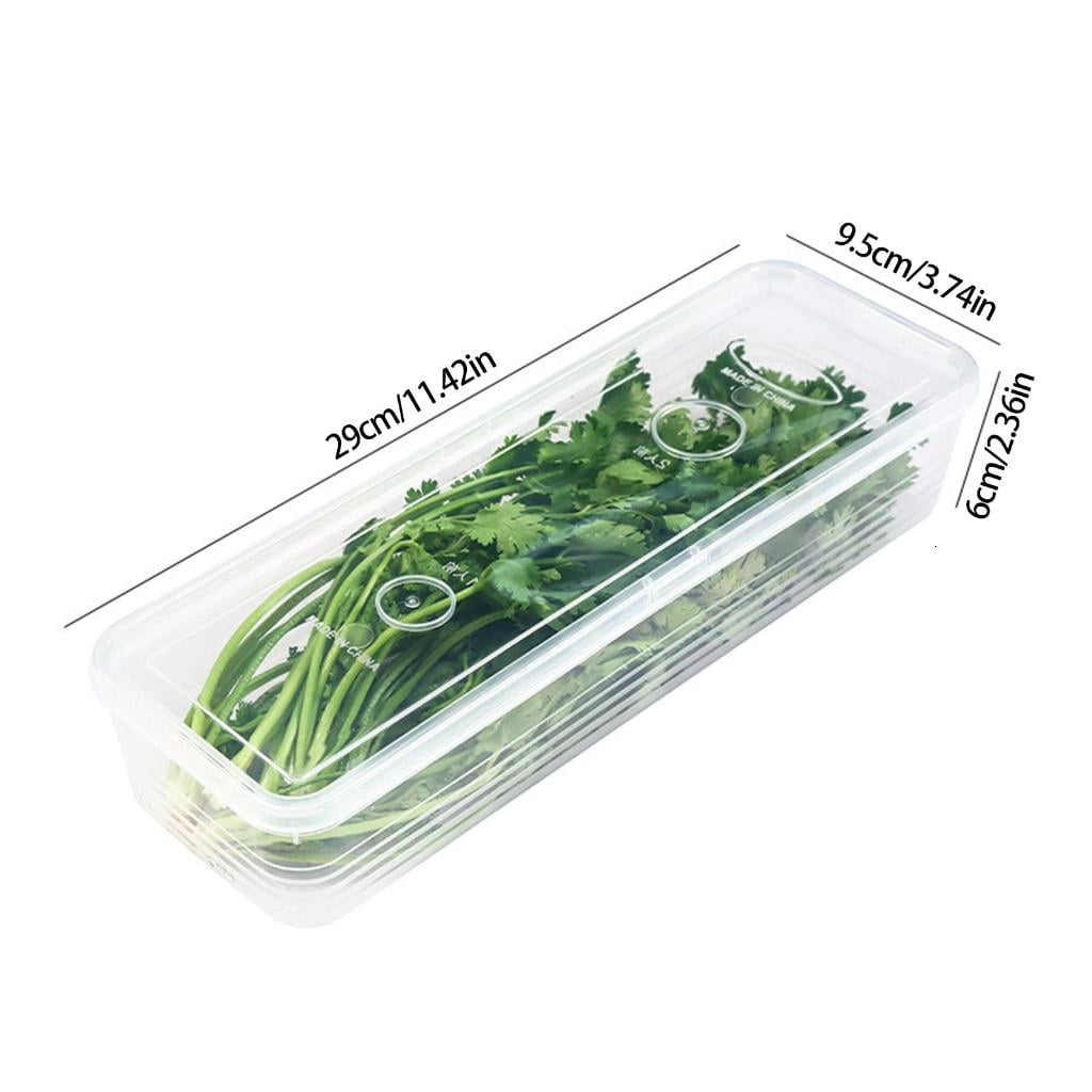 Airtights Food Storage Box Keep Vegetables Freshing Clear Fridge Organizers for Small Space Kitchen Supplies