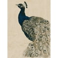 thumbnail image 2 of Popp, Grace 12x14 Gold Ornate Wood Framed with Double Matting Museum Art Print Titled - Textured Peacock II, 2 of 4