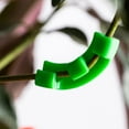thumbnail image 2 of yingyy 50x Sturdy Enthusiasts Easy Separate With Lovers Plant Provide Plants white, 2 of 6