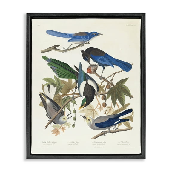 Stupell Industries Classic Yellow Billed Magpie Animals Painting Black Floater Framed Canvas Art Print Wall Art, 17 x 21