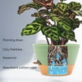 thumbnail image 4 of FIASON 2 Pack Plastic 12 Inch Green with Brown Self-Watering Plant Pots for Indoor Outdoor, Large Flower Pots Include Drainage Holes, Watering Lip & Removable Saucer, 4 of 7