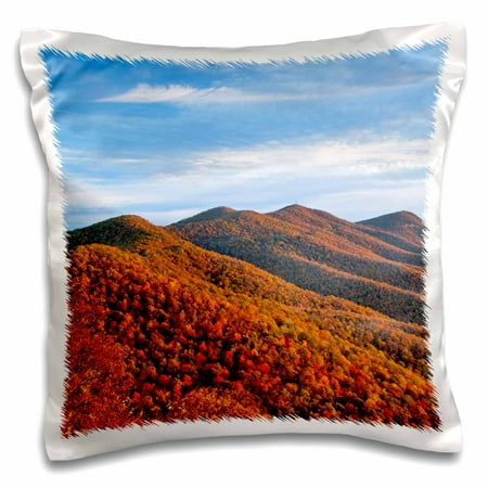 3dRose Mt Pisgah and the Blue Ridge Parkway, North Carolina - US34 CHA0058 - Chuck Haney - Pillow Case, 16 by