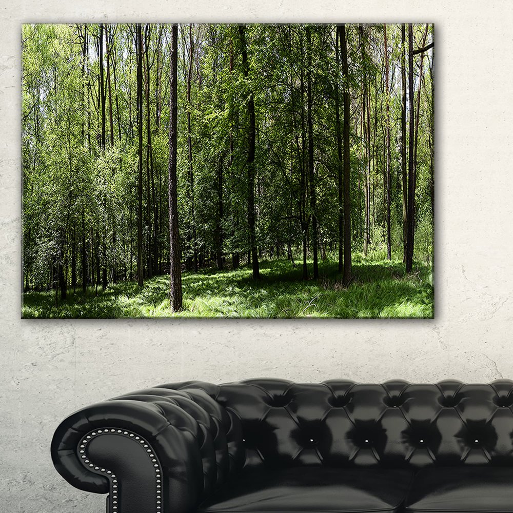 DESIGN ART Wild Green Forest Panorama - Oversized Forest Canvas Artwork