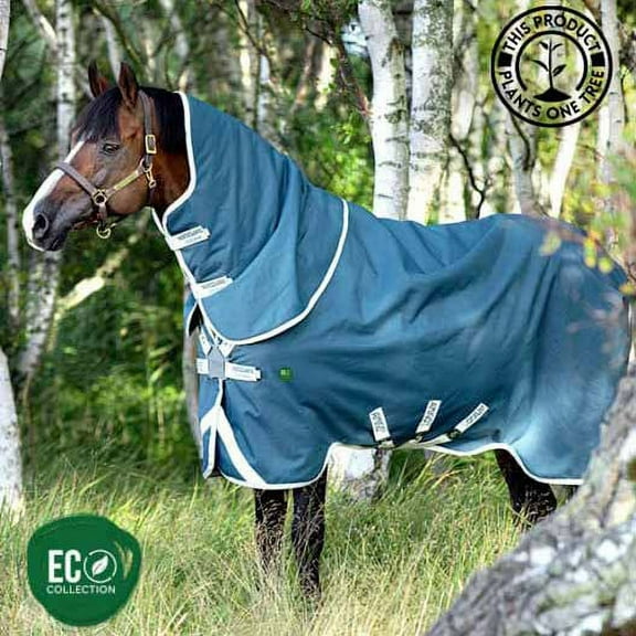 Amigo AmECO 12 Plus Turnout Sheet (0g Lite, 0g Hood), Teal (Grey Trim), Size: 69