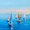 Sailboat, variant on Realistic Russian Blue Cat Canvas Print Wall Art, Lifelike Pet Art for Living Room Bedroom Study Bar Office