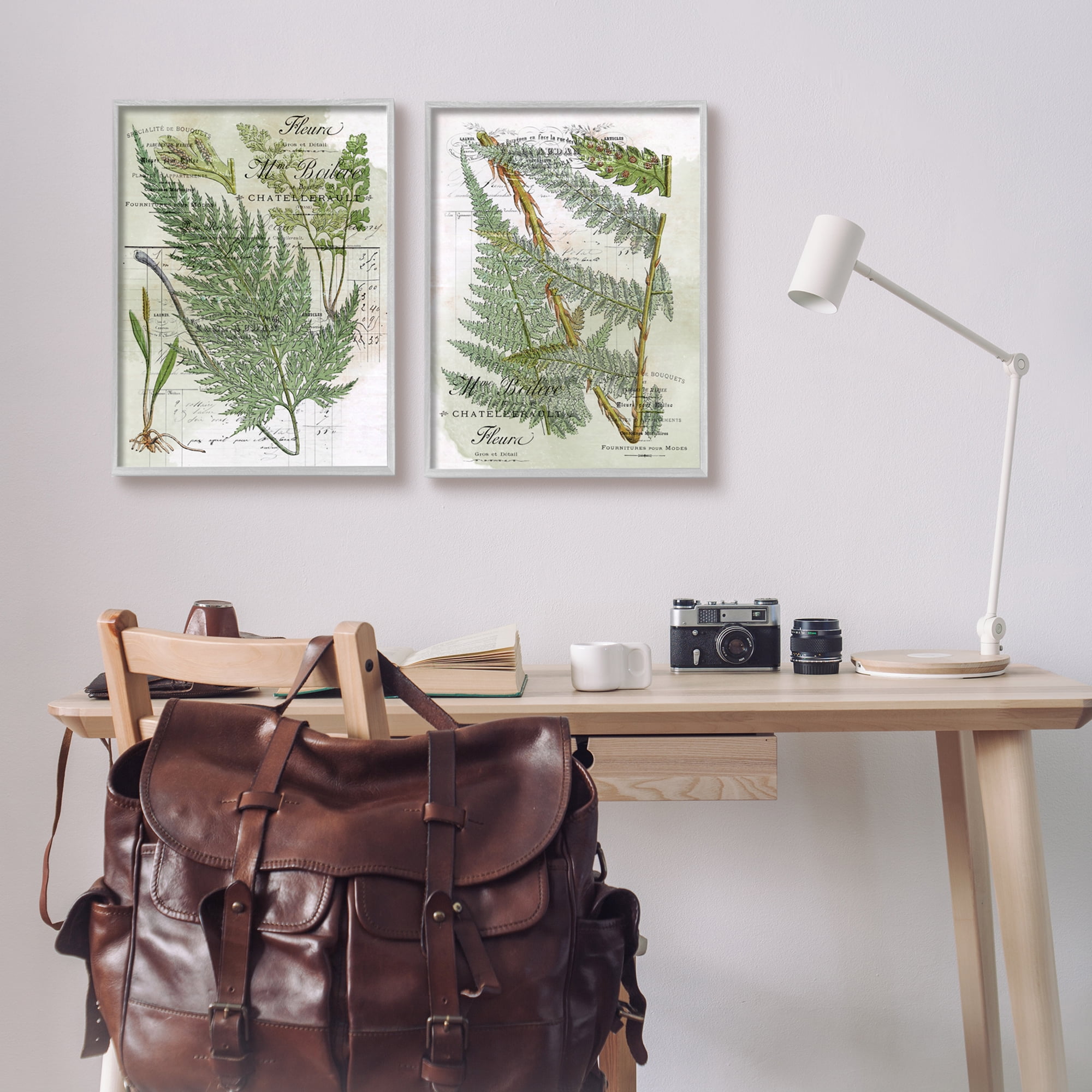 Stupell Woodland Fern Botanical Latin Study Botanical & Floral Painting Gray Framed Art Print Wall Art, Set of 2