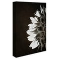 thumbnail image 2 of Masterpiece Art Gallery Sunflower Profile by Ilona Wellmann Canvas Photo Graphic Art Print 16" x 20", 2 of 2