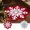 🔥 Red, variant on Viflosae Washable Bath Mat Area Rugs Christmas Rugs Snowflake Shaped Floor Mat Christmas Mat Christmas Decorative for Living Bedroom Kitchen Decoration Bath
