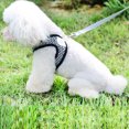 thumbnail image 6 of Super Soft Pet Harness Set - All-Purpose Dog Mesh Harness with Training Leash - Perfect for Home Use, 6 of 8