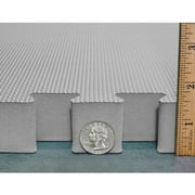 Meister X-THICK 1.5 Interlocking EVA Foam Mats - 2X Cushion for Wrestling, MMA Takedowns & Gymnastics - 2'x2' Tiles - Gray - 10 Tiles (40 Sqft)