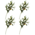 thumbnail image 3 of Arborister Artificial Olive Leaves Branches for Floral Arrangement and Wedding Decor, 3 of 11