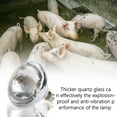 thumbnail image 3 of QHUDLV Livestock Poultry Heat Lamp Bulb Infrared Heating Light for Farm Pets, 3 of 9