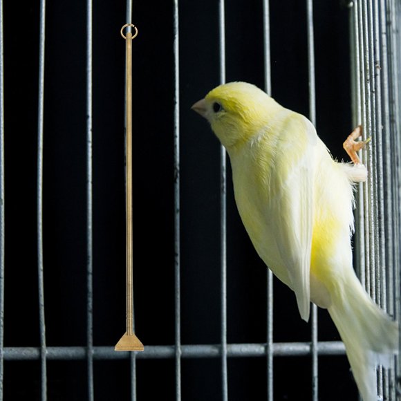 EXHUMKY Removedor De Excrementos Para Jaulas De Pájaros Fabricado En Latón Con Ergonómico