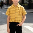 thumbnail image 5 of XuJwPNcy Little Boys Button Down Shirts Short Sleeve Comfy Plaid Tops Infant Collar T-Shirts Kids Summer Outfits with Pocket, 5 of 7