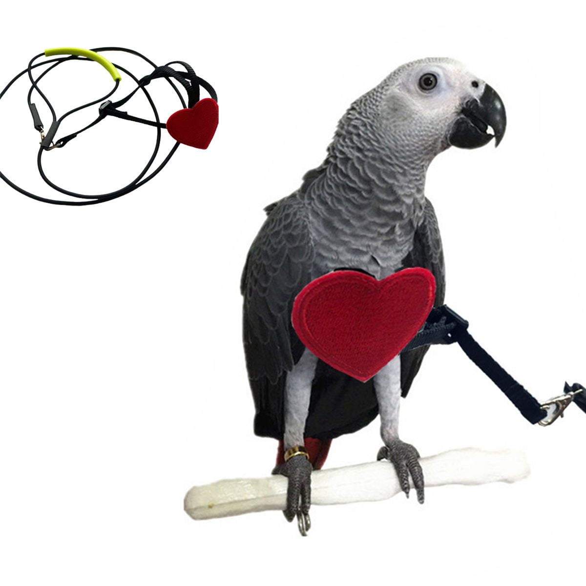 Meidiya Pet Parrot Bird Harness Leash,Adjustable Bird Flying Harness