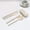 Beige, variant on Nsxcdh Reusable Travel Utensil Set Wheat Straw Spoon,Fork,and Straw with Portable Case Eco-Friendly Cutlery for Picnic,Camping,and Daily Use