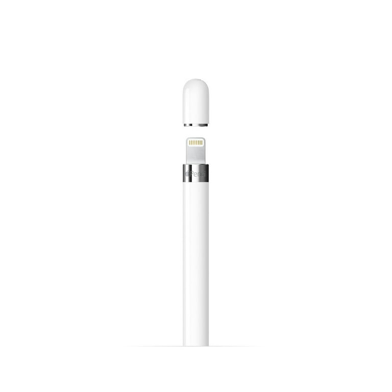 Apple Pencil (1st Generation): Pixel-Perfect Precision and Industry-Leading  Low Latency, Perfect for Note-Taking, Drawing, and Signing documents.