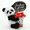 Panda Bear Plush and Candy Gift