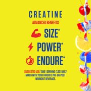 RYSE Creatine Monohydrate Micronized Powder - Popsicle Firecracker - 45 Servings