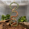 thumbnail image 6 of Reptile Climbing Decor, Snake Climbing Rings for Ball Python & Corn Snake, Reptile Toys, Enrichment Pet Toys & Tank Cage Decor, Habitat Accessories for Terrarium, 6 of 7