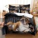 thumbnail image 1 of Funda nórdica estampada con colección de dibujos animados, patrón de perro relajado, juego de cama de decoración de dormitorio de tres piezas, 1 of 4