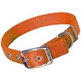 thumbnail image 3 of HAMILTON PET COMPANY DOUBLE THICK NYLON DOG COLLAR 1X20 IN MANGO, 3 of 3