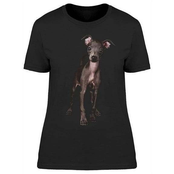 Tiny Italian Greyhound Pup T-Shirt Women -Image by Shutterstock, Female 3X-Large